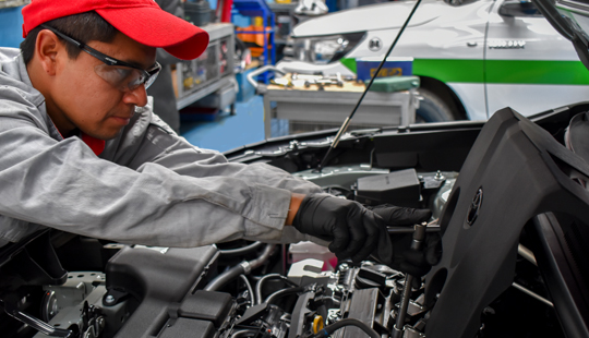 Mantenimiento Periódico